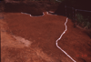 FileNo.119-S195.png