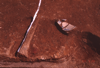 FileNo.119-S201.png