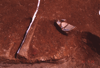 FileNo.119-S202.png