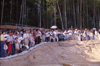 FileNo.119-S215.png