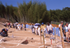 FileNo.119-S224.png