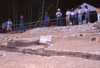 FileNo.119-S232.png
