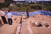 FileNo.119-S236.png