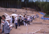 FileNo.119-S241.png