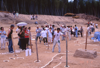 FileNo.119-S244.png