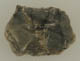 FileNo.120-008.jpg