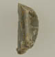 FileNo.120-011.jpg