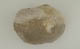 FileNo.120-042.jpg