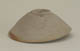 FileNo.120-064.jpg