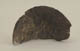FileNo.120-077.jpg