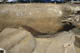 FileNo.120-126.jpg