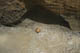 FileNo.120-127.jpg