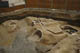FileNo.120-132.jpg