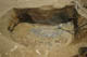 FileNo.120-137.jpg