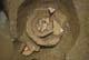 FileNo.120-140.jpg