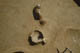 FileNo.120-145.jpg