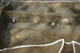 FileNo.120-158.jpg