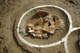 FileNo.120-159.jpg