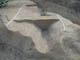 FileNo.121-005.jpg