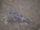 FileNo.121-007.jpg