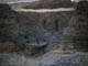 FileNo.121-009.jpg