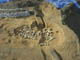 FileNo.122-006.jpg