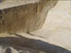 FileNo.122-025.jpg