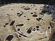 FileNo.122-039.jpg