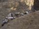 FileNo.122-045.jpg