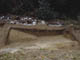 FileNo.122-050.jpg