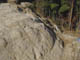 FileNo.122-053.jpg