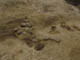 FileNo.122-059.jpg