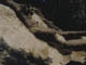 FileNo.122-062.jpg