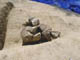 FileNo.122-080.jpg
