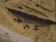 FileNo.122-083.jpg