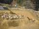 FileNo.122-098.jpg