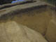 FileNo.122-100.jpg
