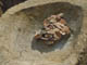 FileNo.122-102.jpg