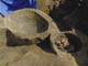 FileNo.122-103.jpg