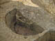 FileNo.122-104.jpg