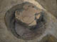 FileNo.122-105.jpg