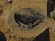 FileNo.122-108.jpg