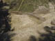 FileNo.122-117.jpg