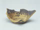 FileNo.122-145.jpg