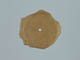 FileNo.122-155.jpg