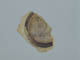 FileNo.122-161.jpg
