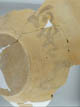 FileNo.122-168.jpg