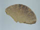 FileNo.122-173.jpg