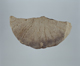 FileNo.122-186.jpg