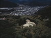 FileNo.22-062.jpg